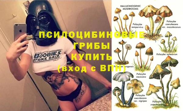 винт Зеленокумск