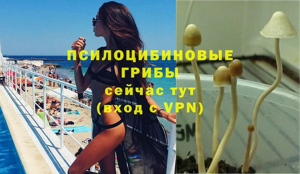винт Зеленокумск