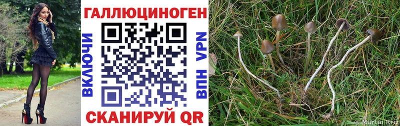 Псилоцибиновые грибы прущие грибы Купить закладки Салаир